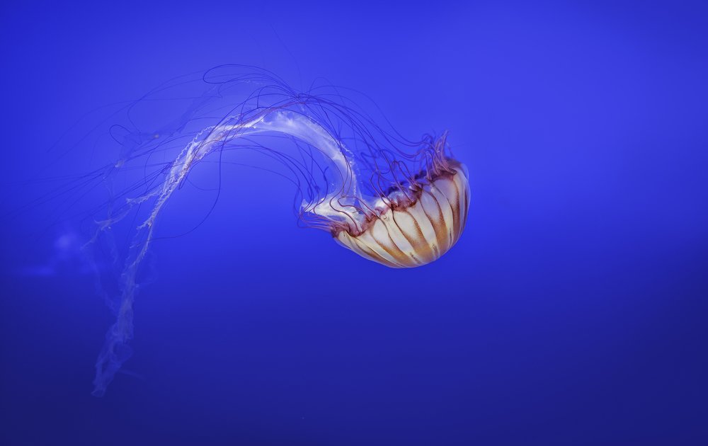 Photograph by HITTHEROAD