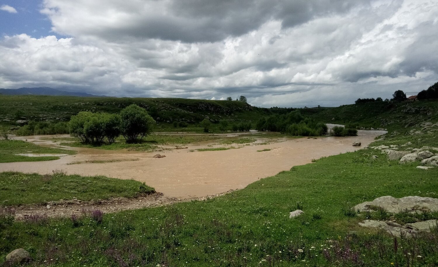 Photo #4796498
