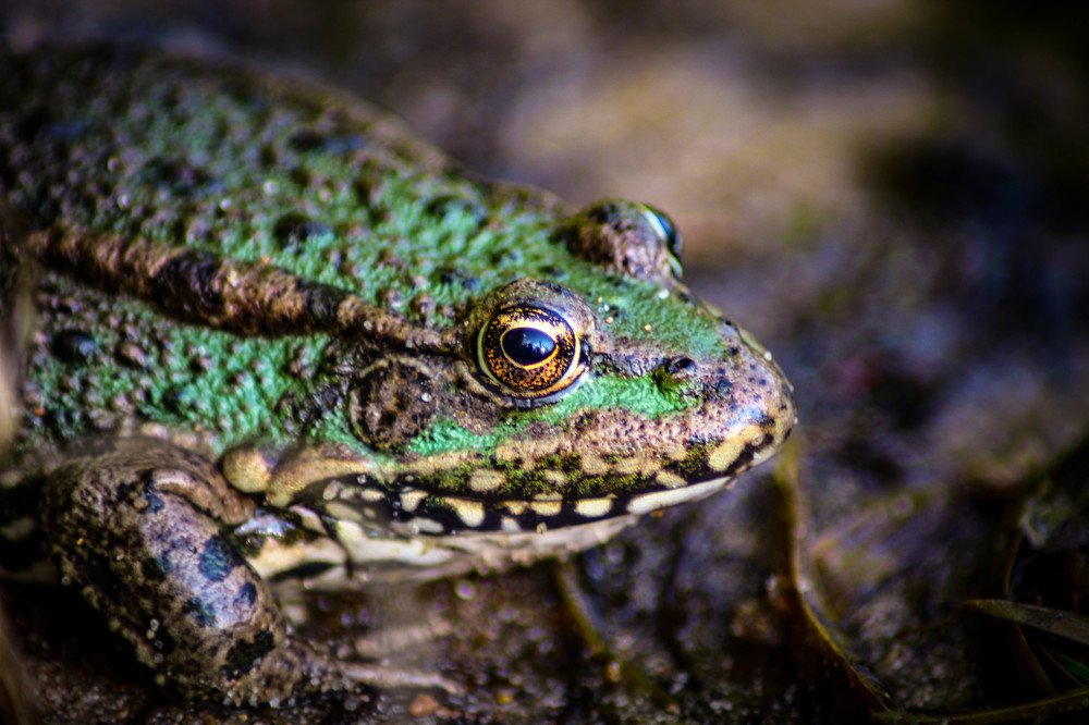 Photograph by Светлана