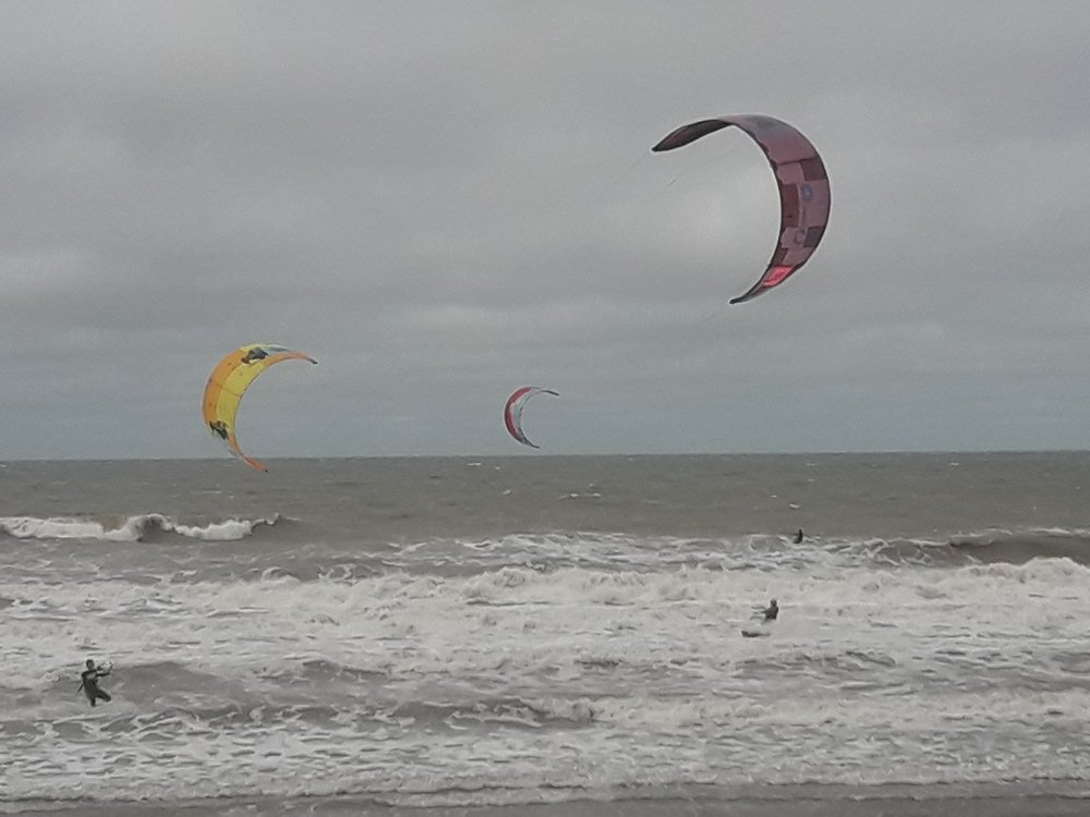 Photo #4796566