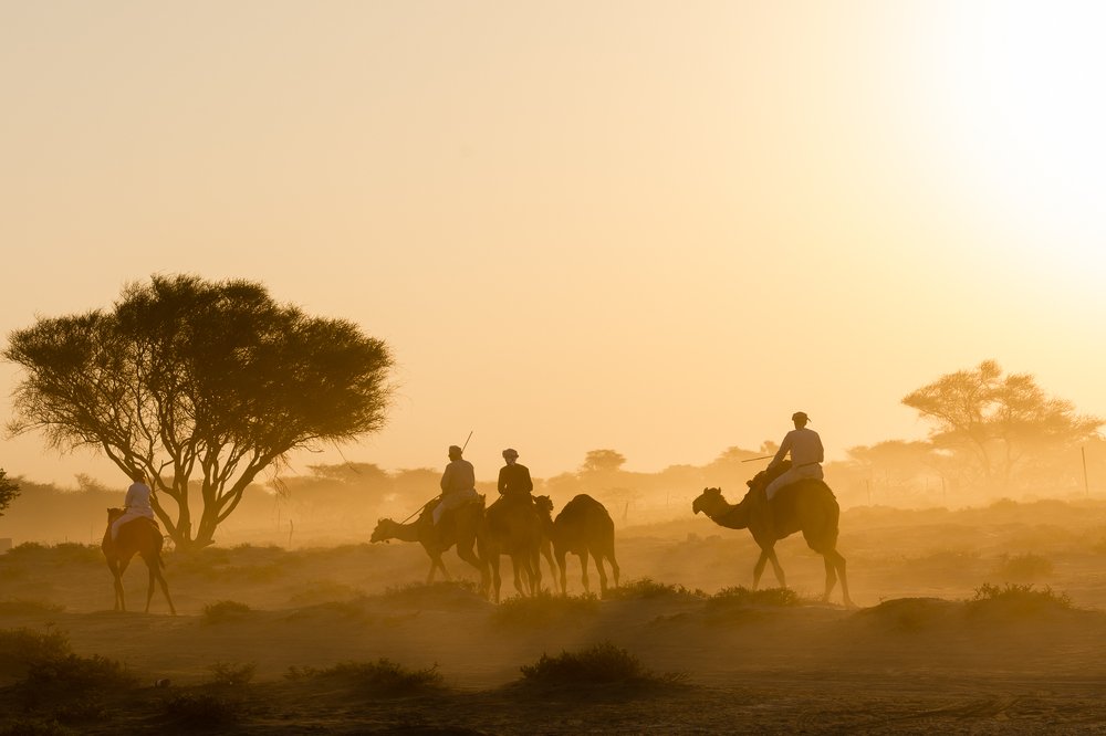 Photograph by Sanjoy Sengupta