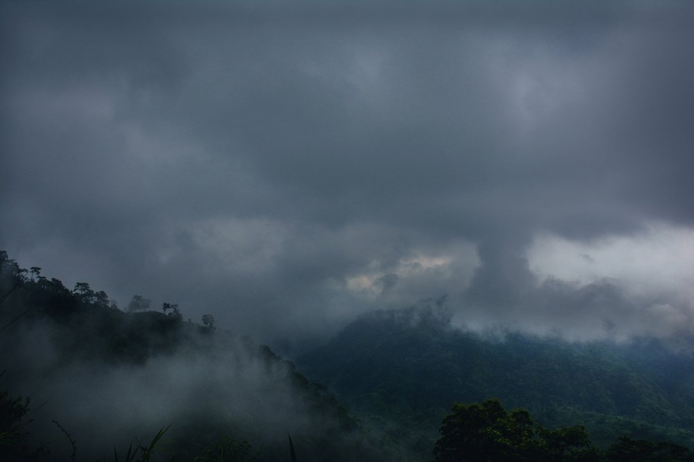 Foggy Morning