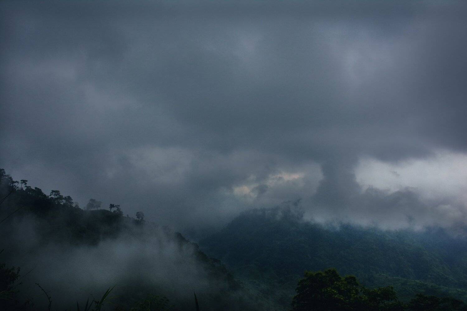Foggy Morning