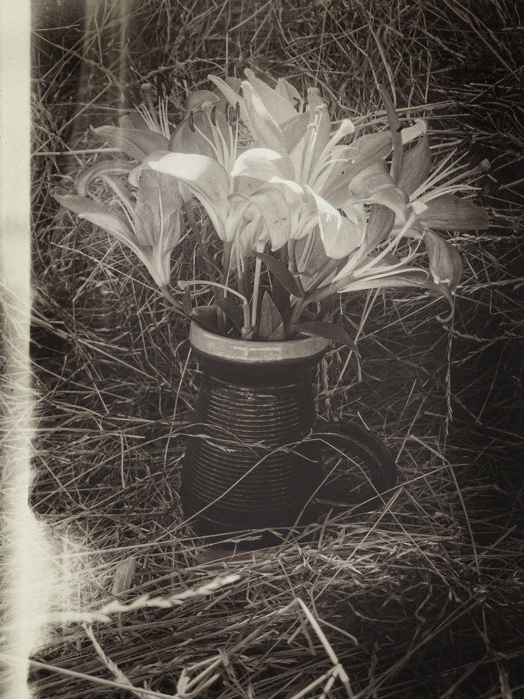 Photograph by Katerina Seneng