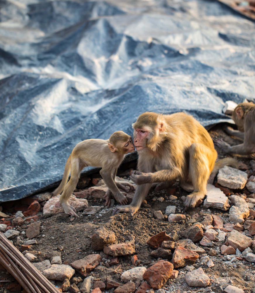 Photograph by DHIRAJ GOSWAMI