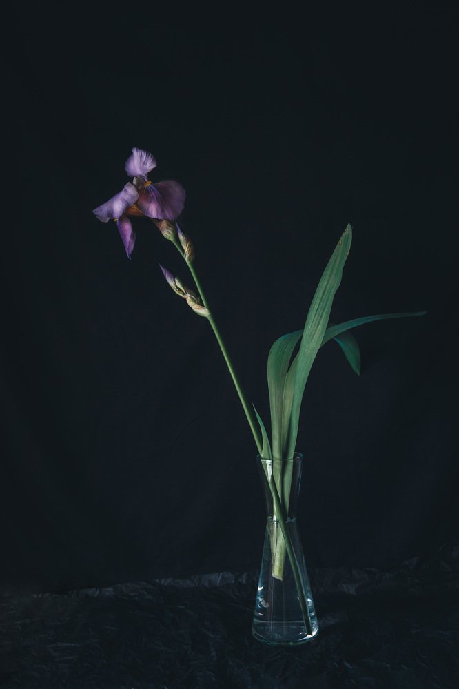 Photograph by Елизавета Лутцева