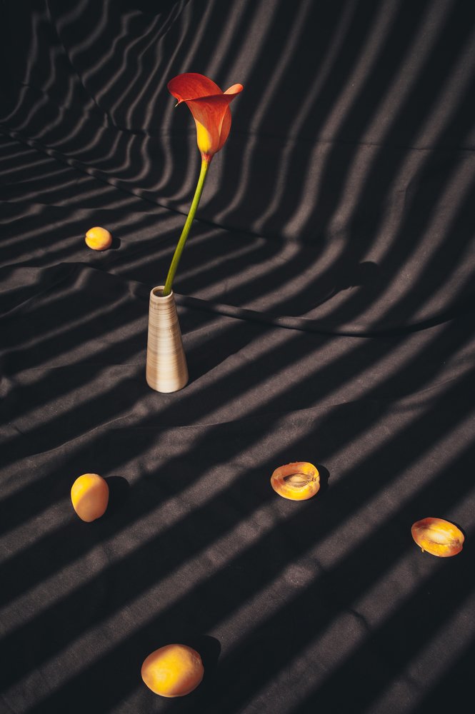 Photograph by Елизавета Лутцева