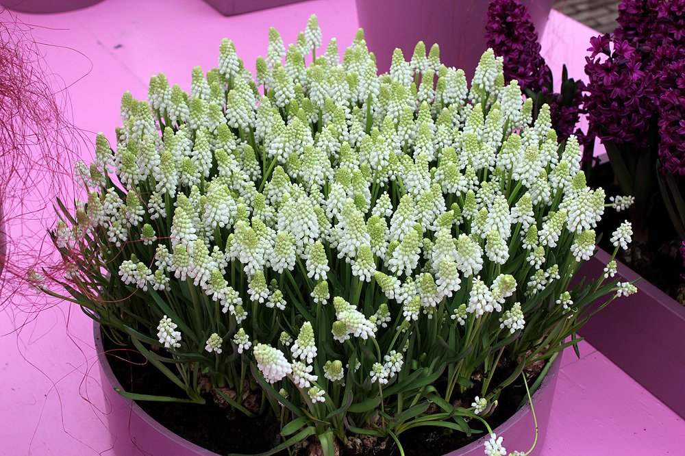 Photograph by PRASHANT VAIDYA