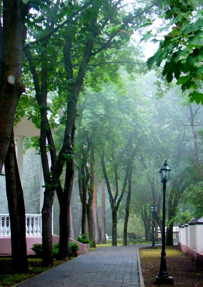 Туманная аллея парка..