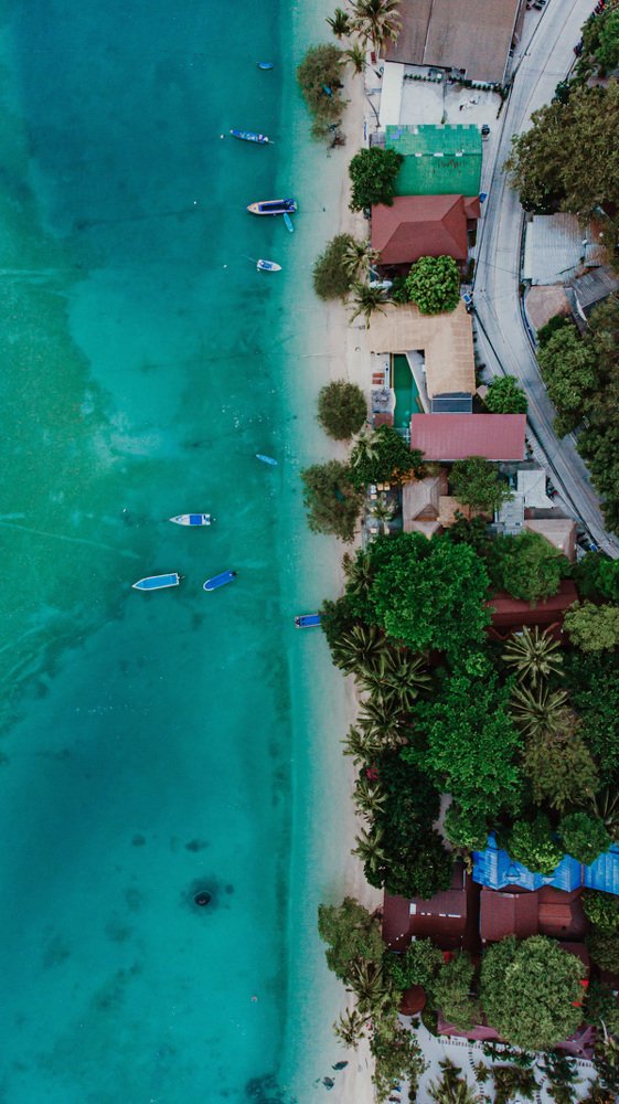 Photograph by Enache Bianca