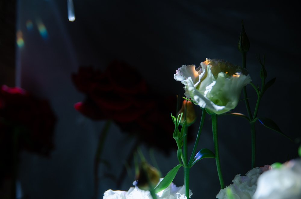 Photograph by Zi Tien