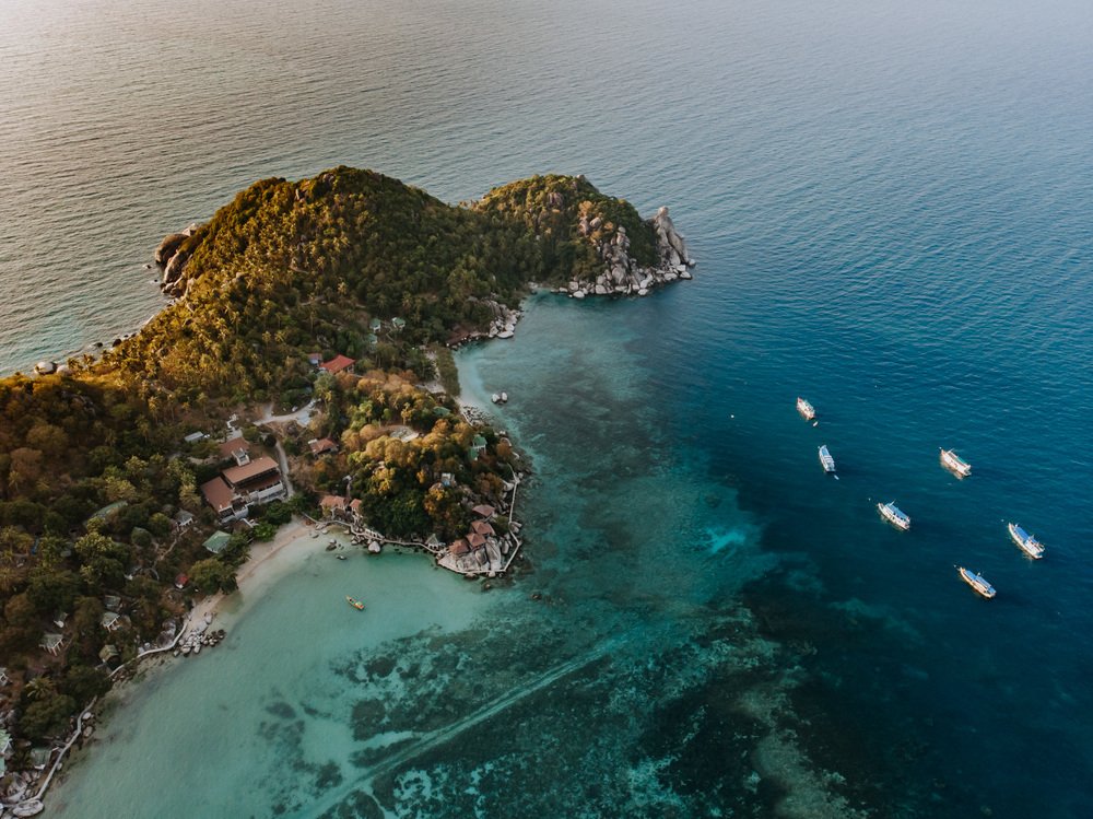 Photograph by Enache Bianca