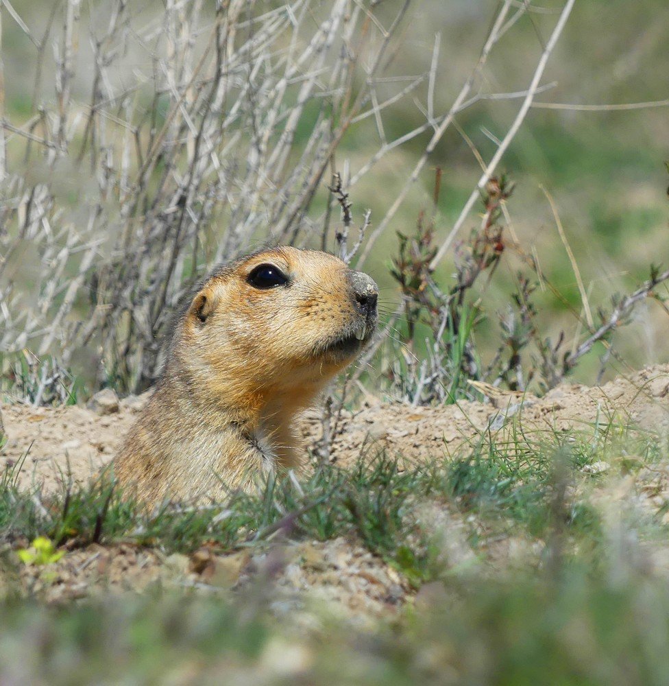 Photograph by ali bakhshi