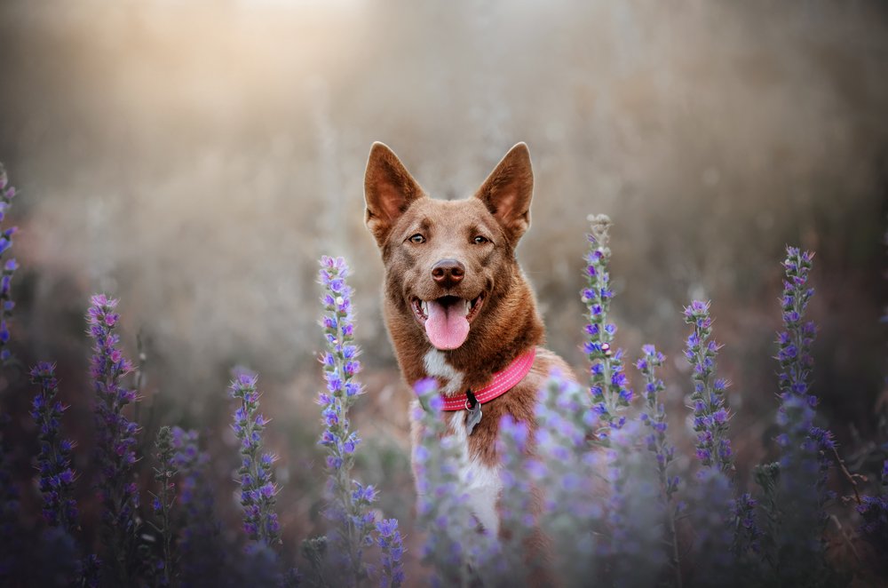 Photograph by Екатерина Кикоть