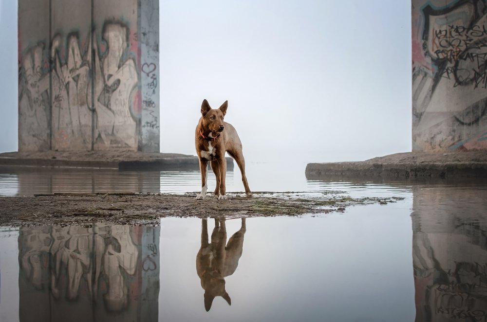 Photograph by Екатерина Кикоть