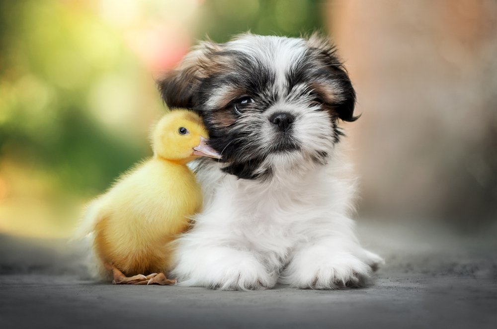 Photograph by Екатерина Кикоть