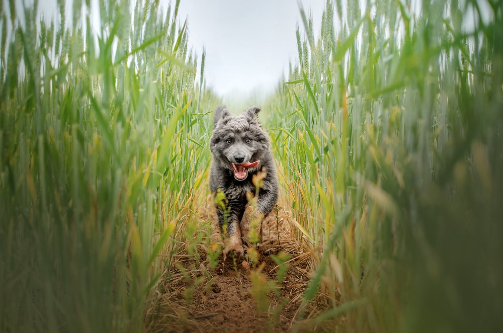 Photograph by Екатерина Кикоть