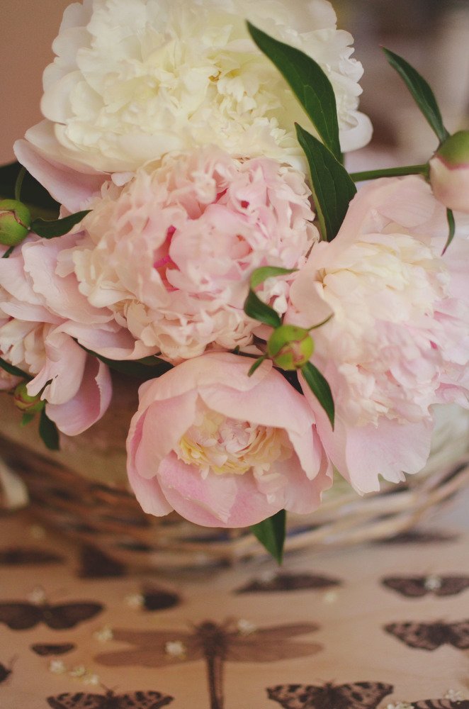 Фотография автора Виктория