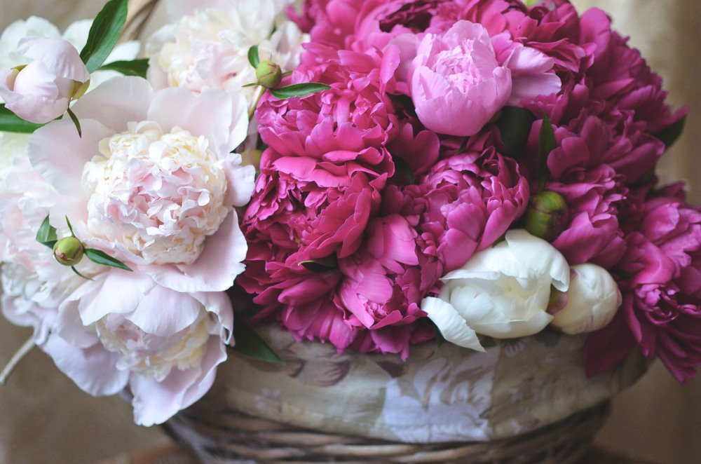 Фотография автора Виктория