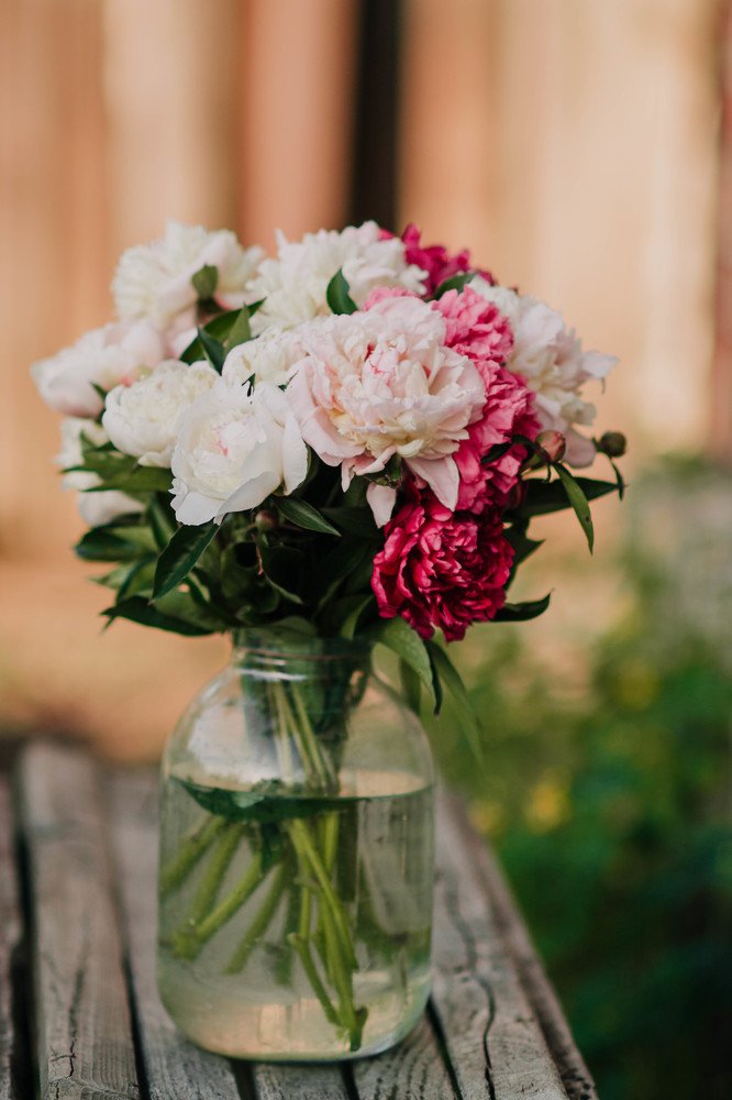 Фотография автора Виктория