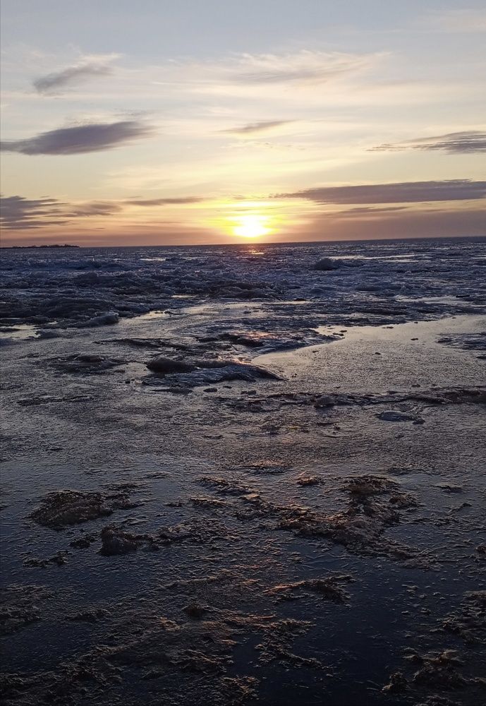Photo #4797121
