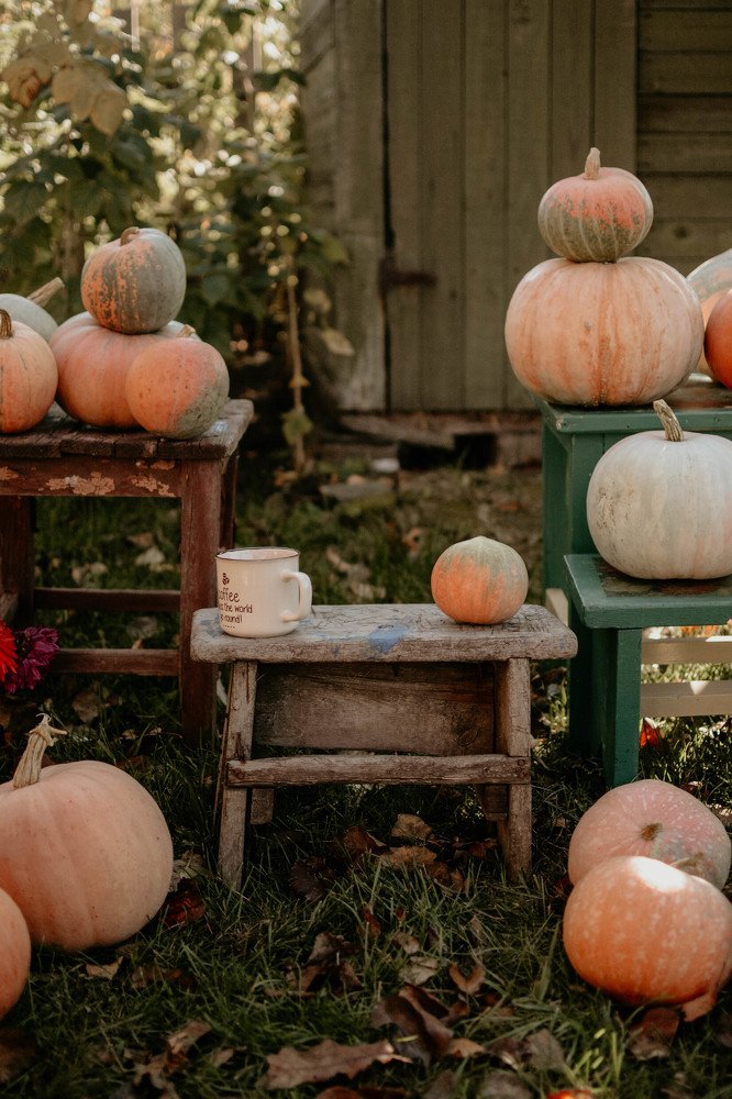 Фотография автора Виктория