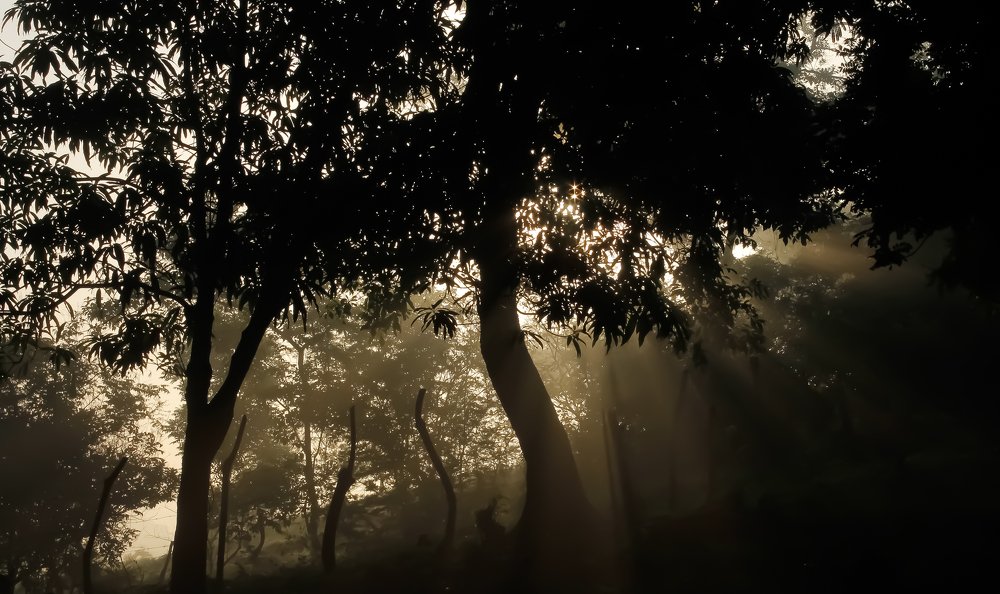 Photograph by Jesus Santamaría