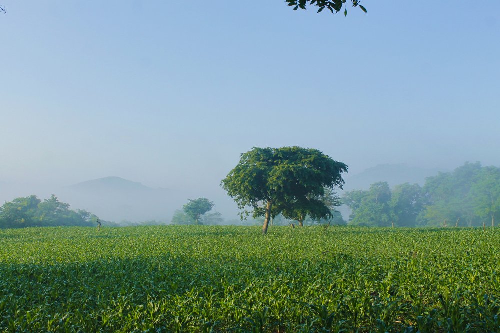 Photograph by Jesus Santamaría