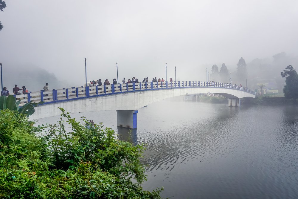 Фотография автора savitri Rawat