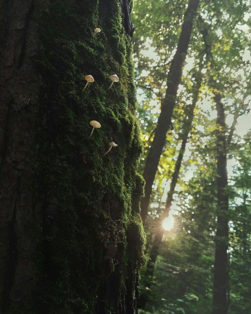 Photograph by Юлия Красильникова