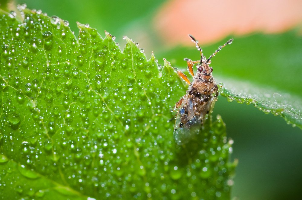 Photograph by Ясинский Юрий