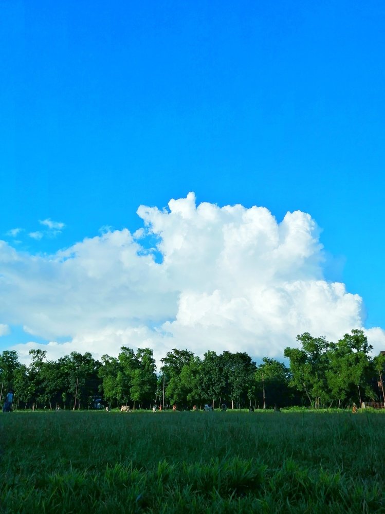 Photo #4797517