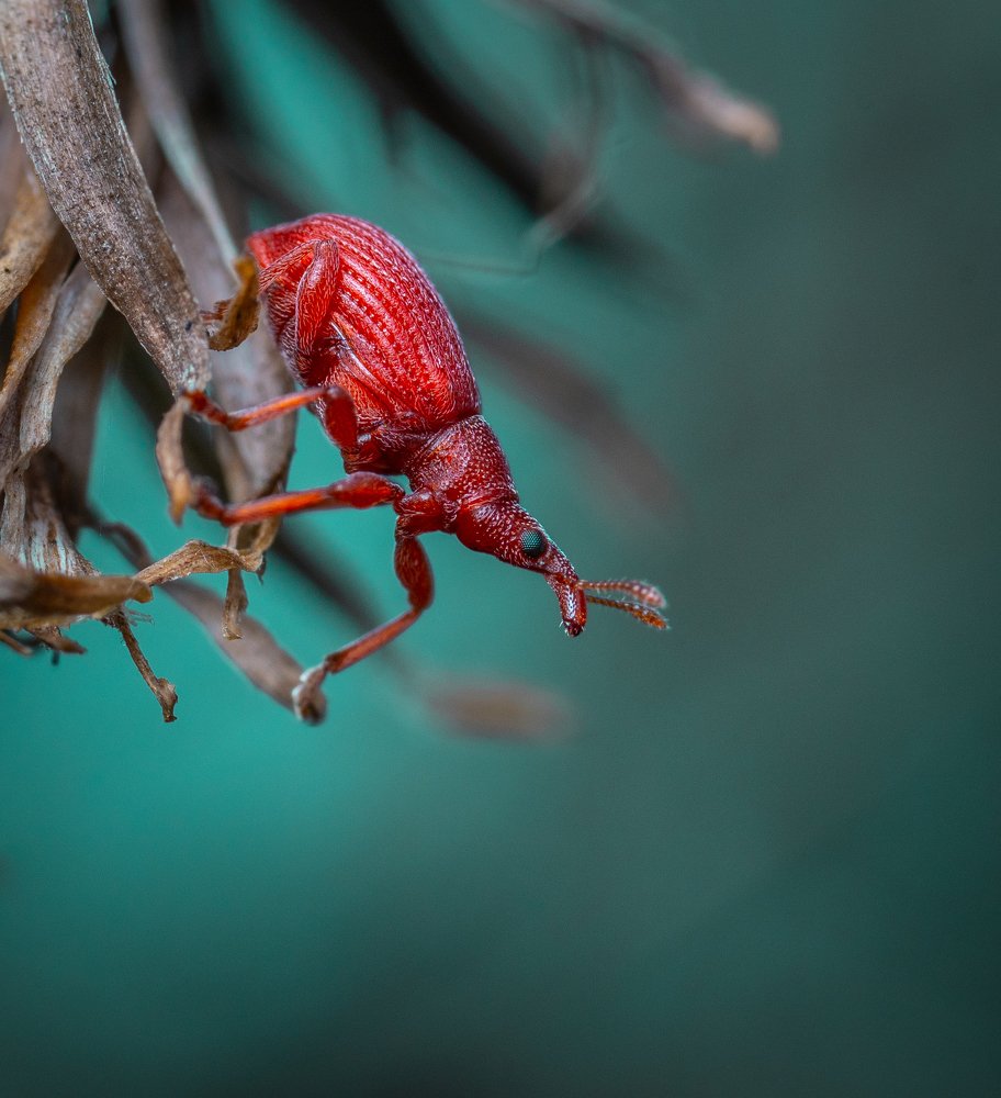 Photograph by Егор Камелев