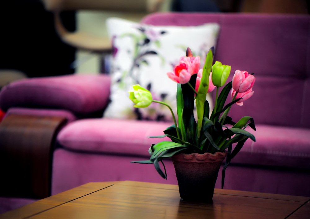 Photograph by DAMOUN POURNEMATI