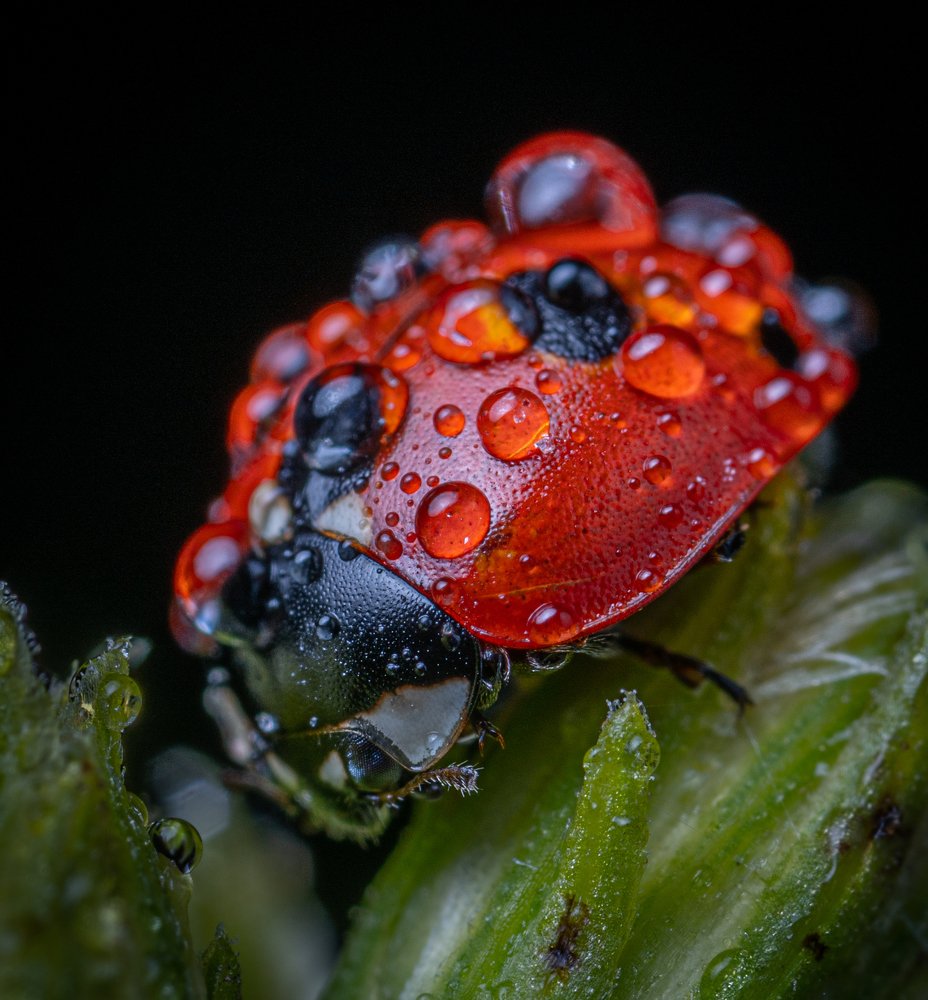 Photograph by Егор Камелев