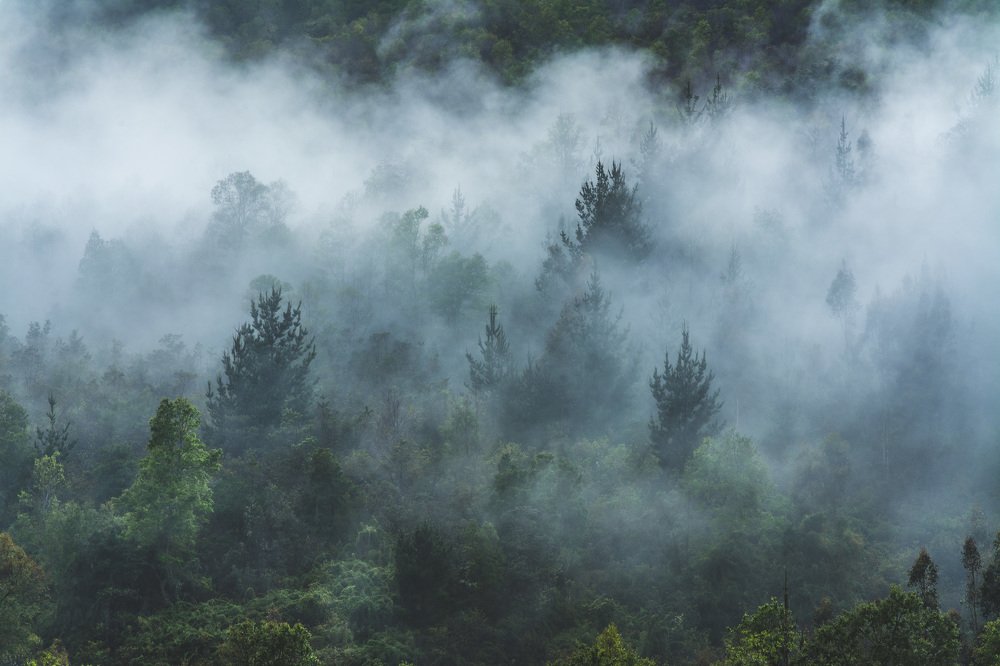 Photograph by Florencia Gehrung