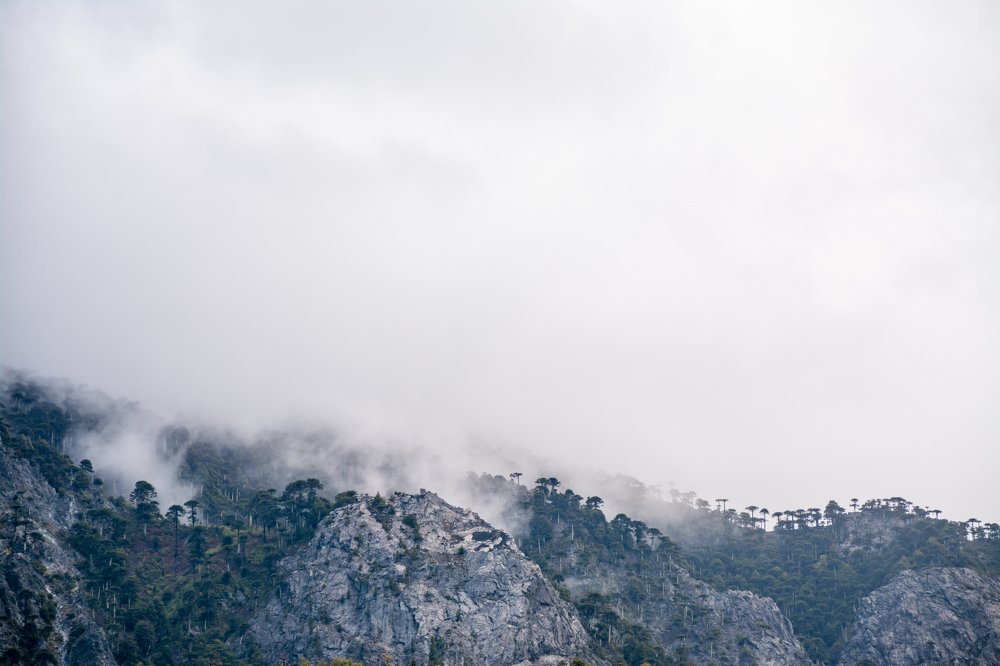 Photograph by Florencia Gehrung