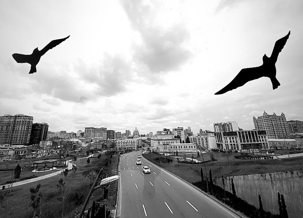 Photograph by Эльвин Зейнвлов