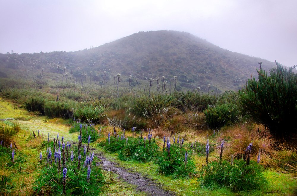 Photograph by Santiago Moreno