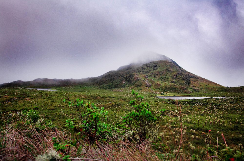 Photograph by Santiago Moreno