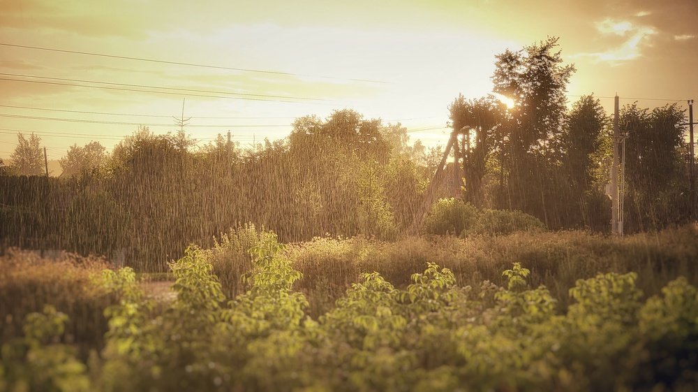 Rain and Sun