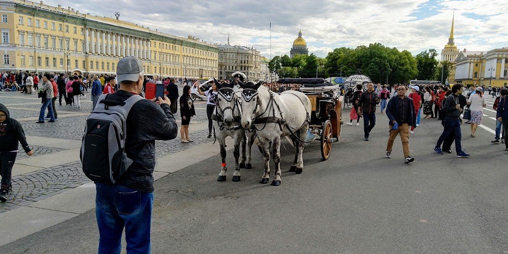 Незабываемая прогулка