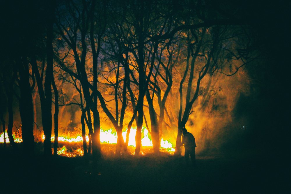 Photograph by Régis Santos