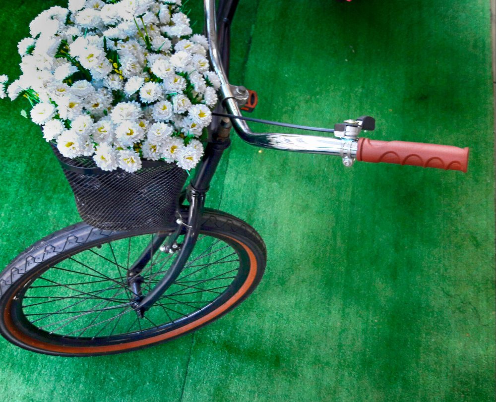 Photograph by Régis Santos