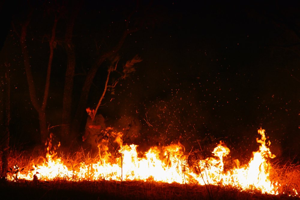 Photograph by Régis Santos