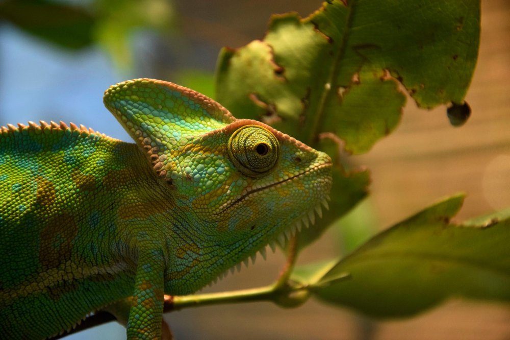 Photograph by Алексей Логинов