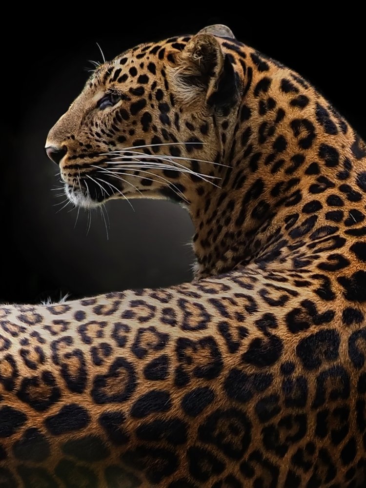 Photograph by Irawan Subingar