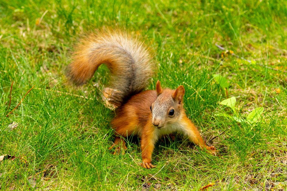 Photograph by Alexey Tsarkov