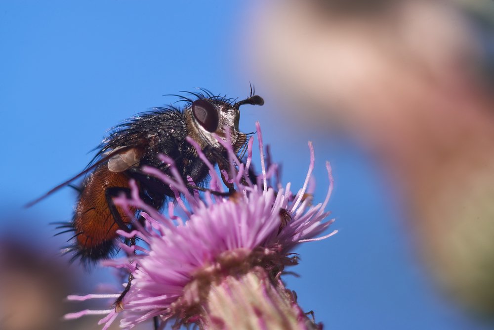 Photograph by Ольга Шибяева