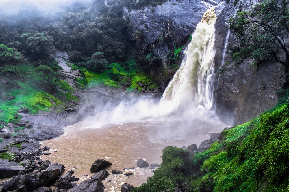 Goddess of the forest